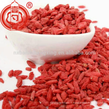 2016 ningxia faible pesticide goji berry